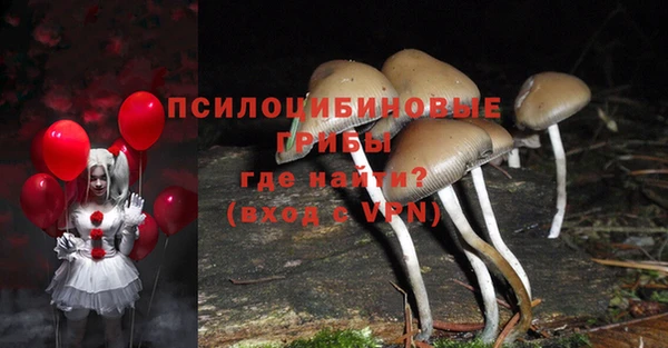стаф Магас