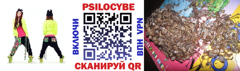 Купить закладки  Вяземский  Галлюциногенные грибы прущие грибы 